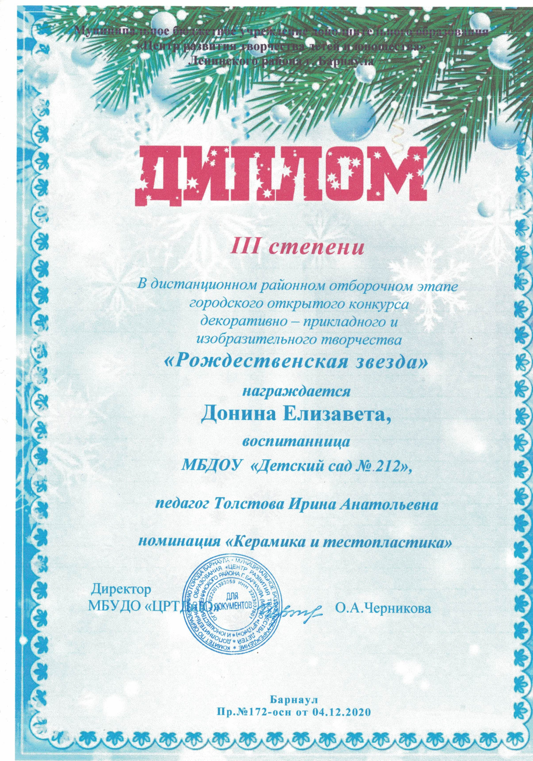 Диплом Рождественская звезда 314122020